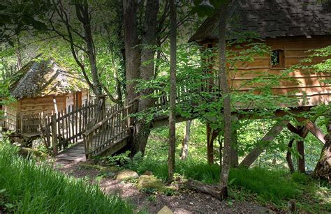 cabane dans les arbres bas rhin|cabane essentielle alsace.